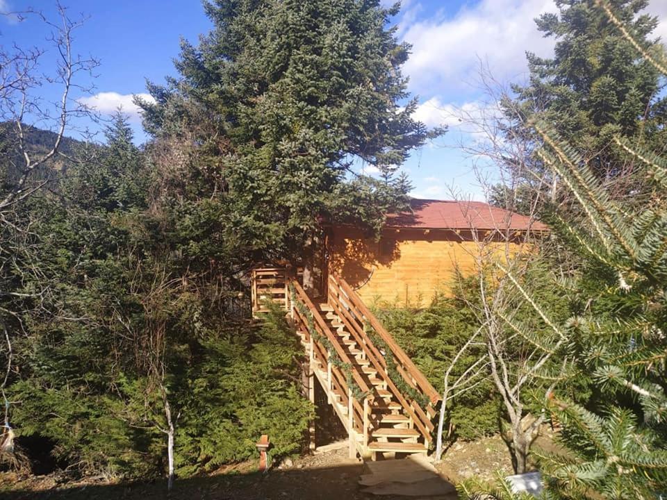 Kedra Village Luaran gambar